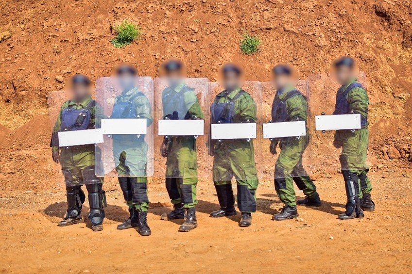 Professional Guarding